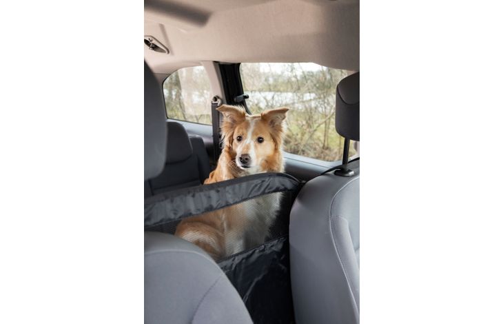 Flamingo Car safety screen Totti Black