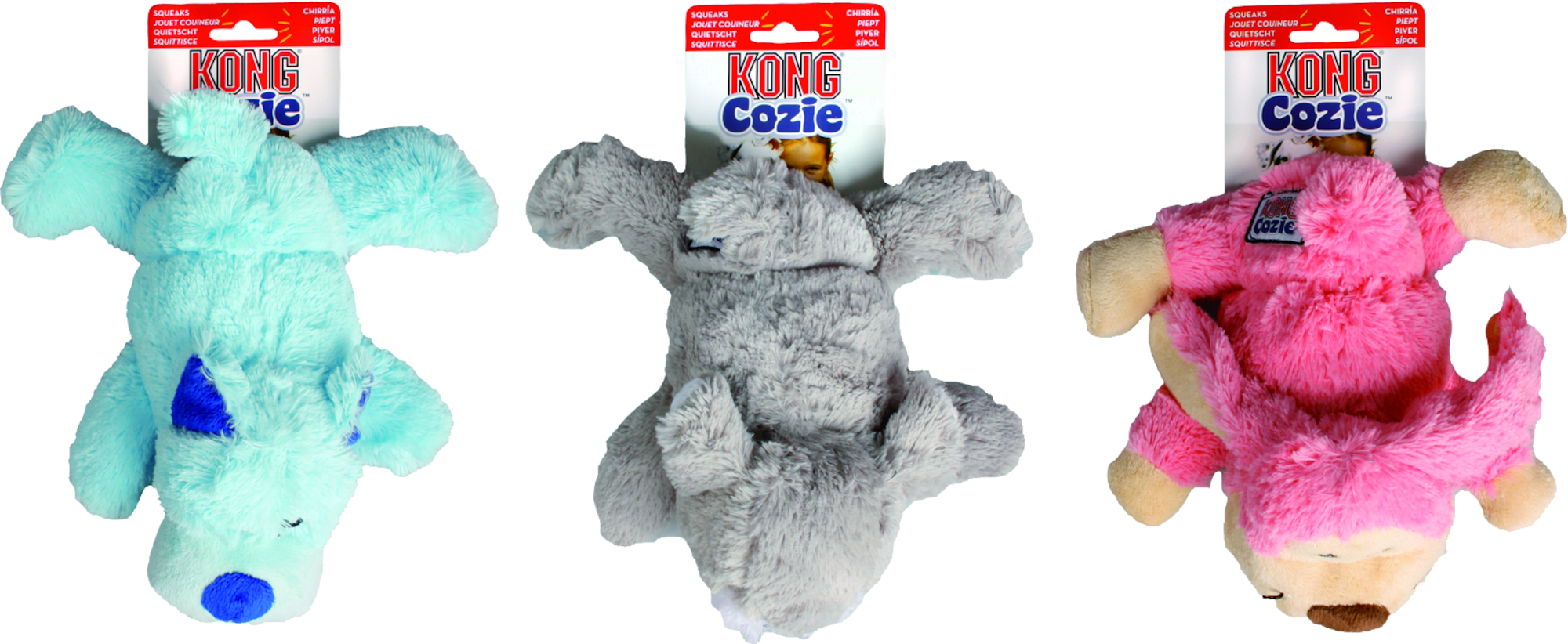 kong cozie koala