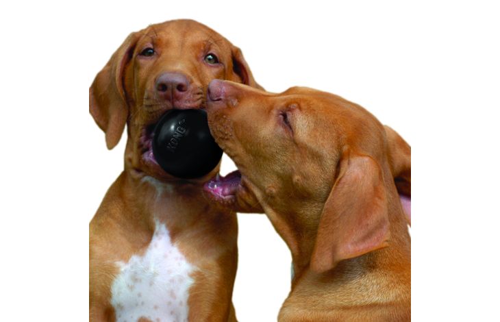 Kong® Kong® Toy Extreme Ball Black