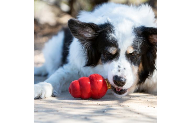 Kong® Kong® Snack Snacks™ Koekje Lever