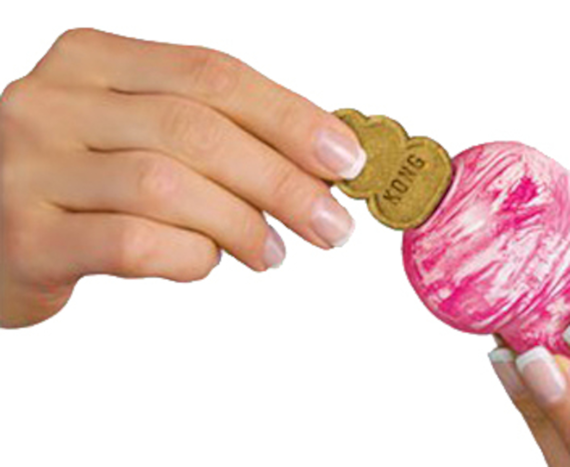 Kong® Kong® Biscuits & Snacks Snacks™ Puppy Biscuit with chicken flavour & Rice