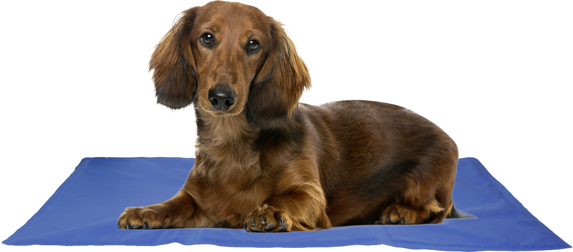 Flamingo Cooling pad Frosty Rectangle Blue