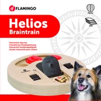Flamingo Giocattolo Brain train Helios  Marrone chiaro