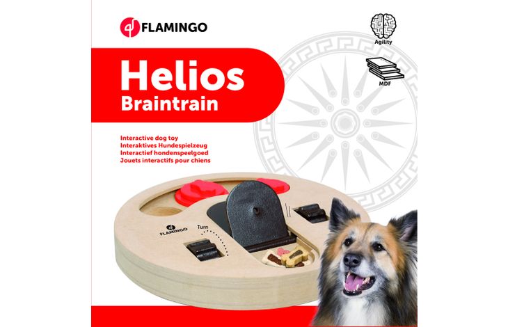 Flamingo Giocattolo Brain train Helios  Marrone chiaro