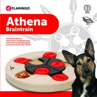 Flamingo Giocattolo Brain train Athena  Marrone chiaro