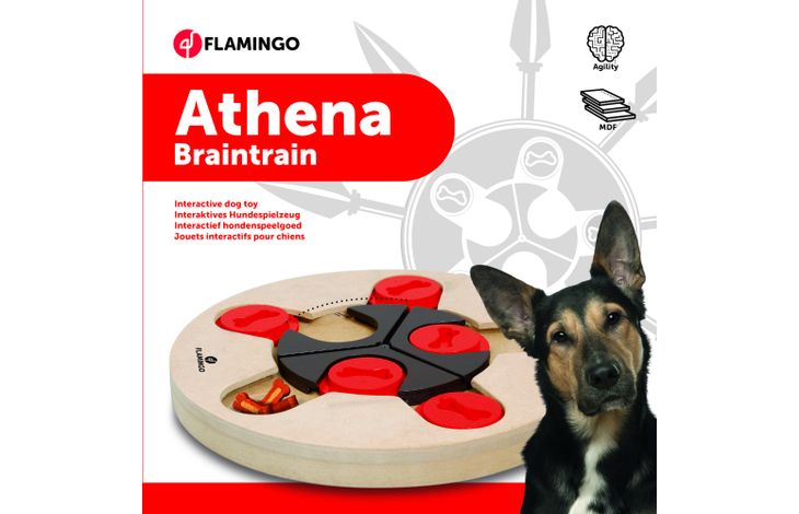 Flamingo Giocattolo Brain train Athena  Marrone chiaro