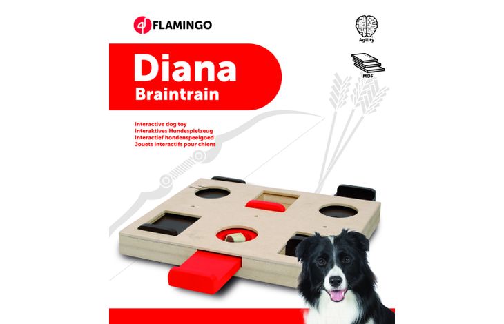 Flamingo Jouet Brain train Diana  Brun clair