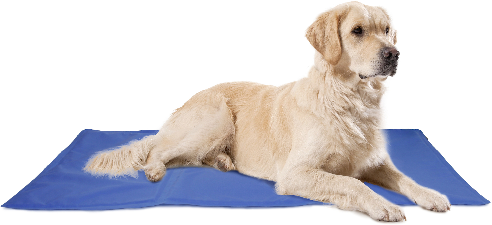 Flamingo Cooling pad Frosty Rectangle Blue