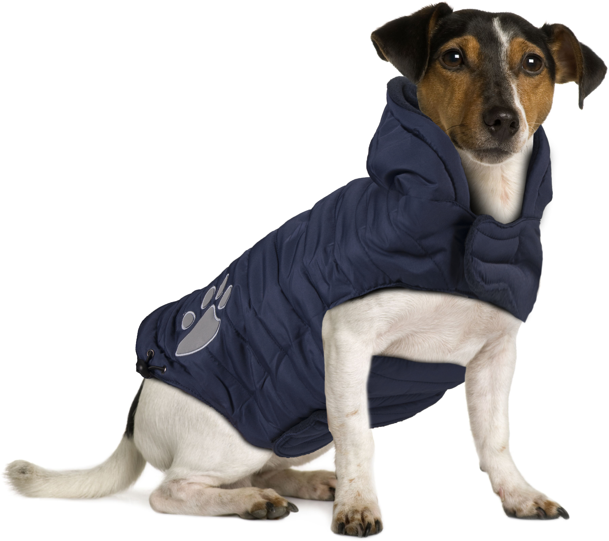 Flamingo Coat Paw Blue