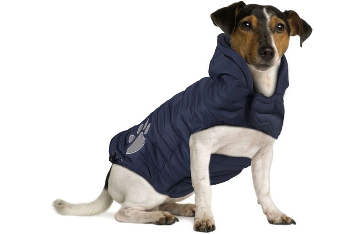 Flamingo Jas Paw Blauw