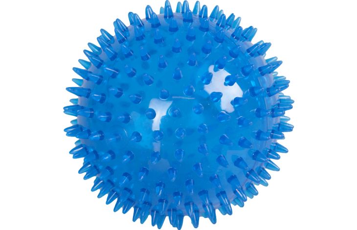 Flamingo Toy Bordy Spike ball Blue