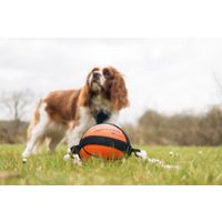 Flamingo Speelgoed Matchball Basketbal met touw Oranje