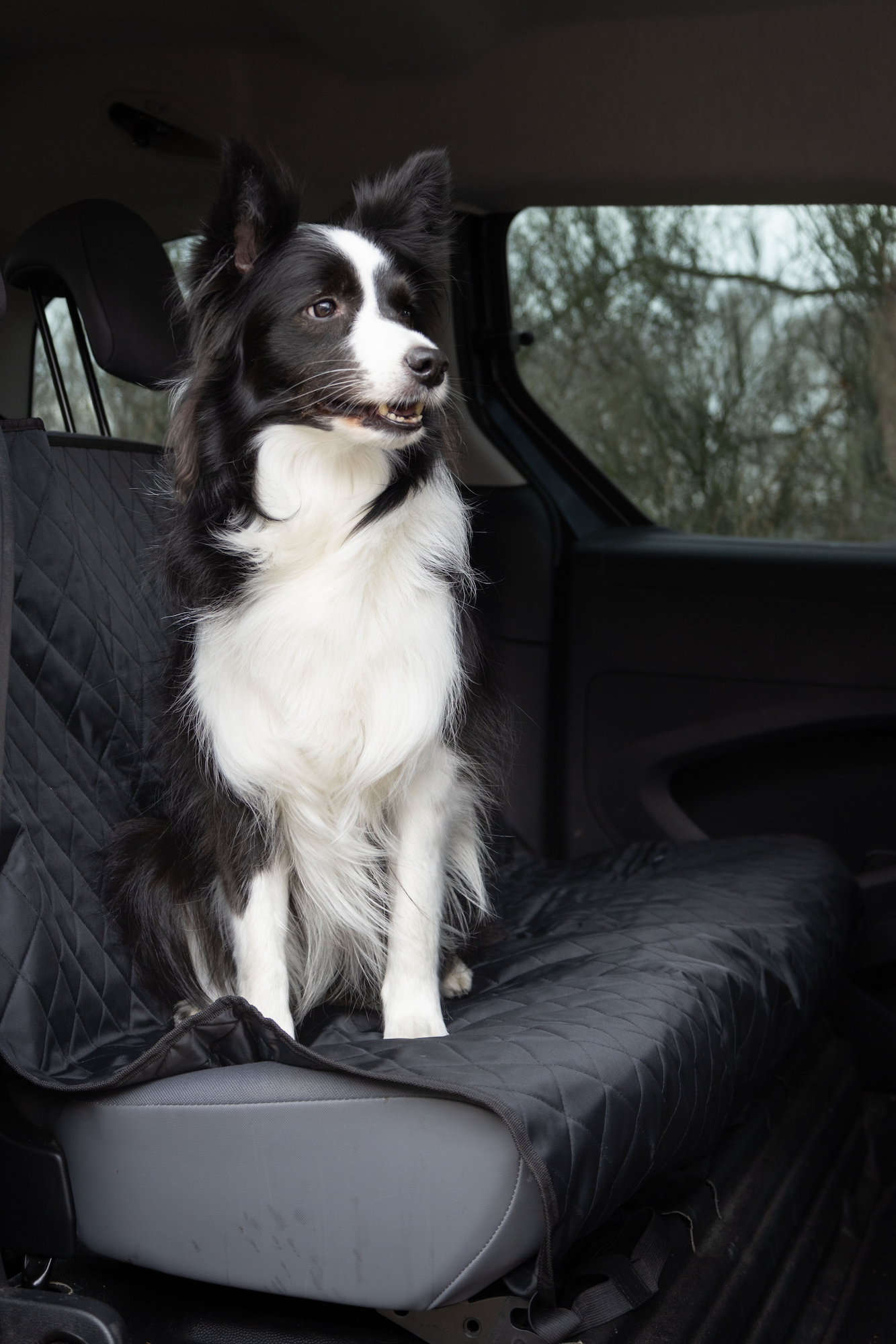 Flamingo Car seat cover Kia Back seat Black