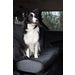 Car seat cover Kia Back seat Black