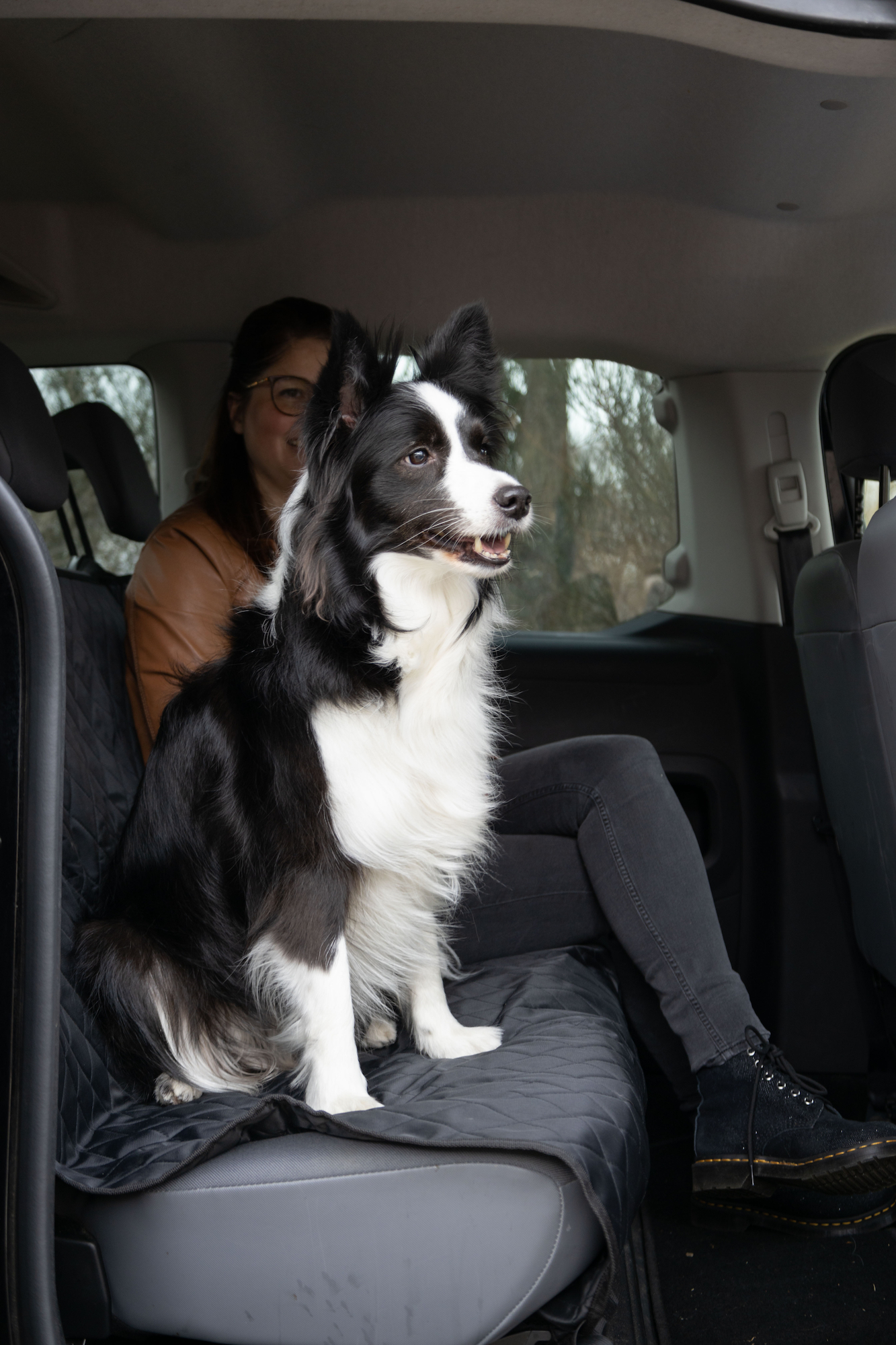 Flamingo Car seat cover Kia Back seat Black