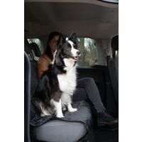 Flamingo Car seat cover Kia Back seat Black