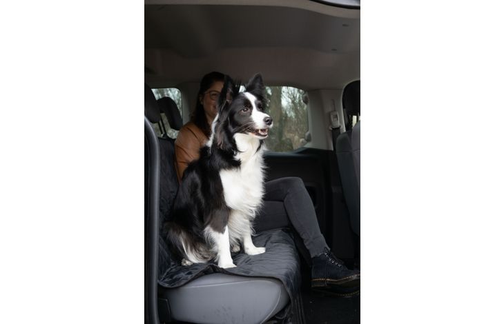 Flamingo Car seat cover Kia Back seat Black