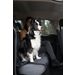 Car seat cover Kia Back seat Black