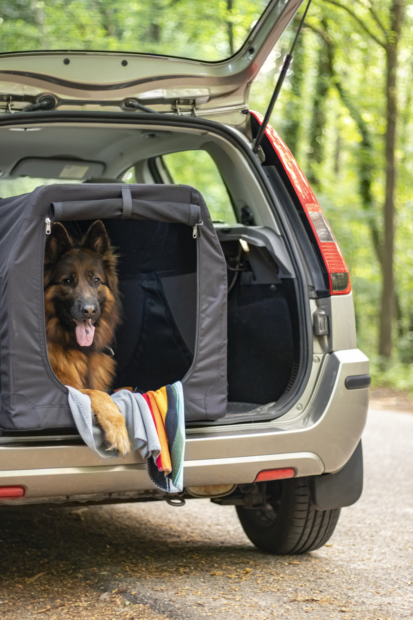 Flamingo Transport cage Alix Classic multiple colours