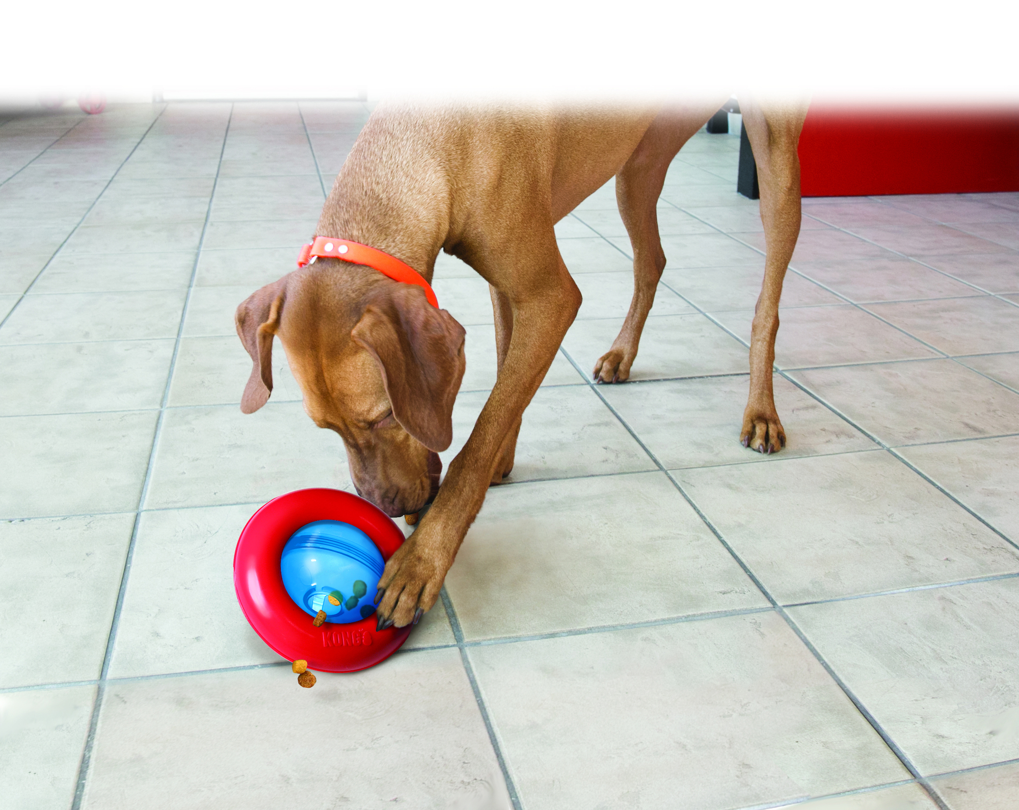 Kong® Kong® Toy Gyro with ball Red