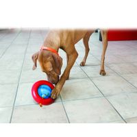 Kong® Kong® Spielzeug Gyro mit ball Rot