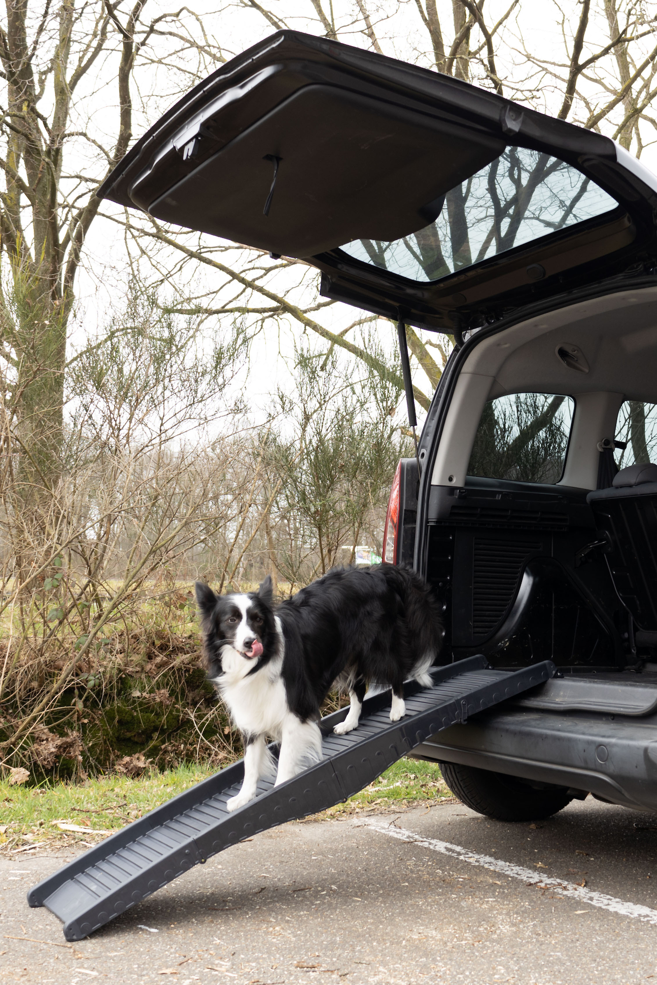 Flamingo Hunderampe Dim Schwarz