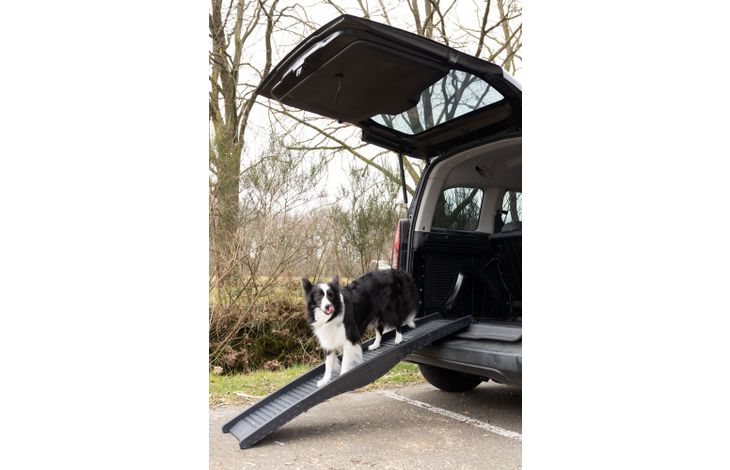 Flamingo Hunderampe Dim Schwarz