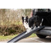 Flamingo Hunderampe Dim Schwarz