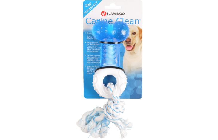 Multipet Canine Clean 5 in Peppermint Bone Dog Toy