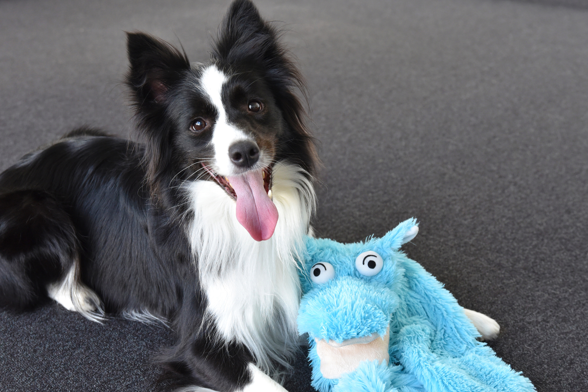 Flamingo Toy Wawel Crocodile & Snake Multiple colours