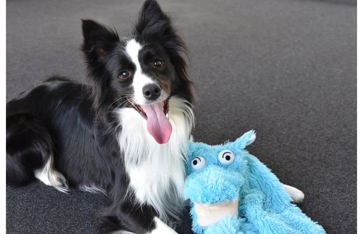 Flamingo Toy Wawel Crocodile & Snake Multiple colours
