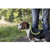 Flamingo Anti-trek halsband Rimo Fluo geel
