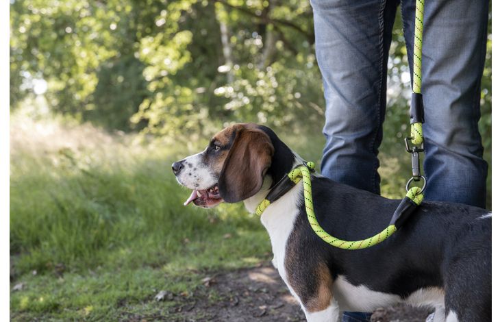 Flamingo Anti-trek halsband Rimo Fluo geel