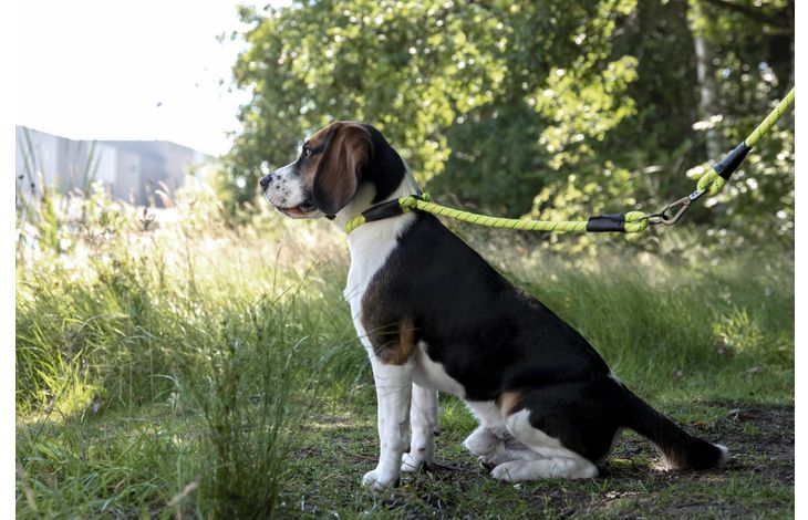 Flamingo Anti-trek halsband Rimo Fluo geel