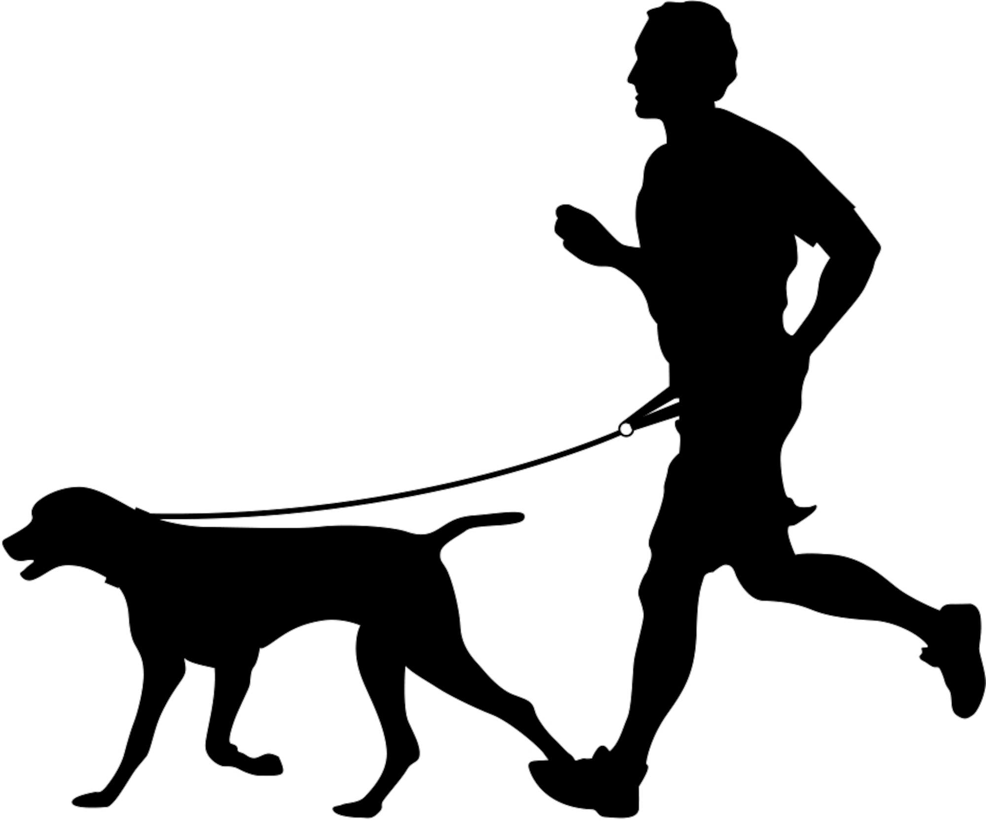 Flamingo Jogging leash with waist belt Diran Fluo yellow