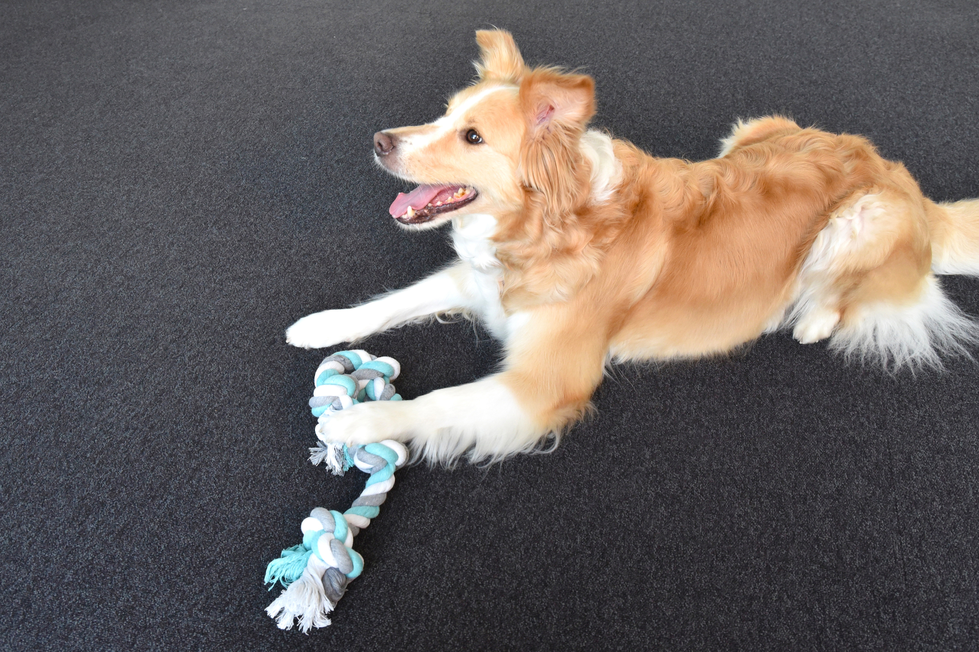 Flamingo Speelgoed Jim Touw met 4 knopen Muntgroen