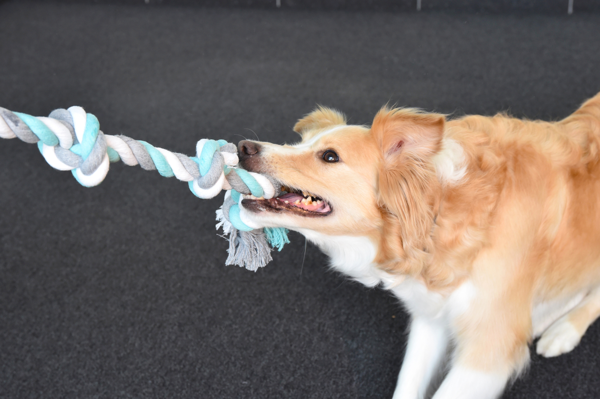 Flamingo Speelgoed Jim Touw met 4 knopen Muntgroen