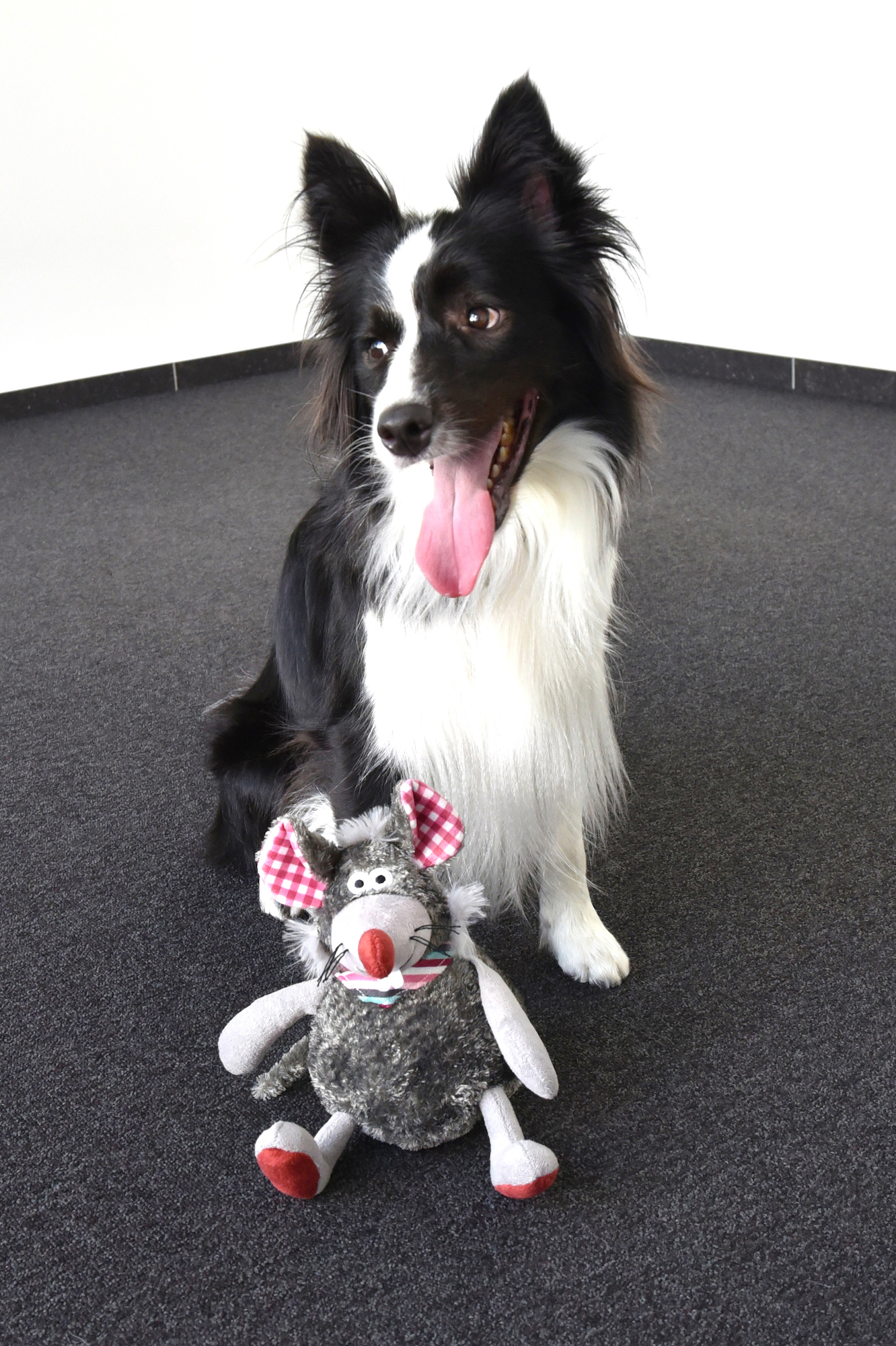 Flamingo Toy Molly Mouse Grey