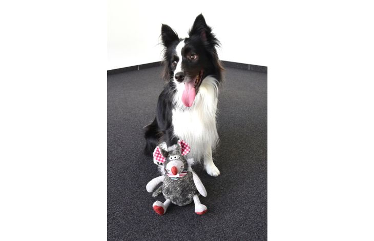 Flamingo Toy Molly Mouse Grey