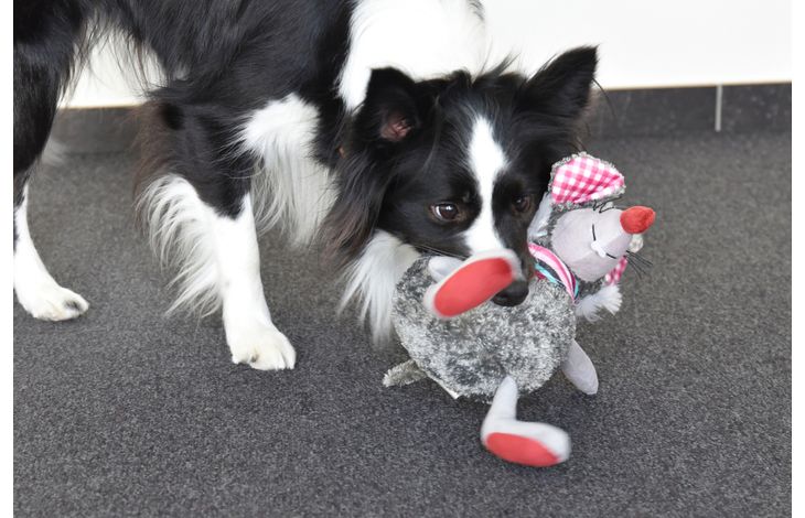 Flamingo Toy Molly Mouse Grey