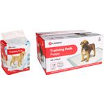 Training pad Pady White
