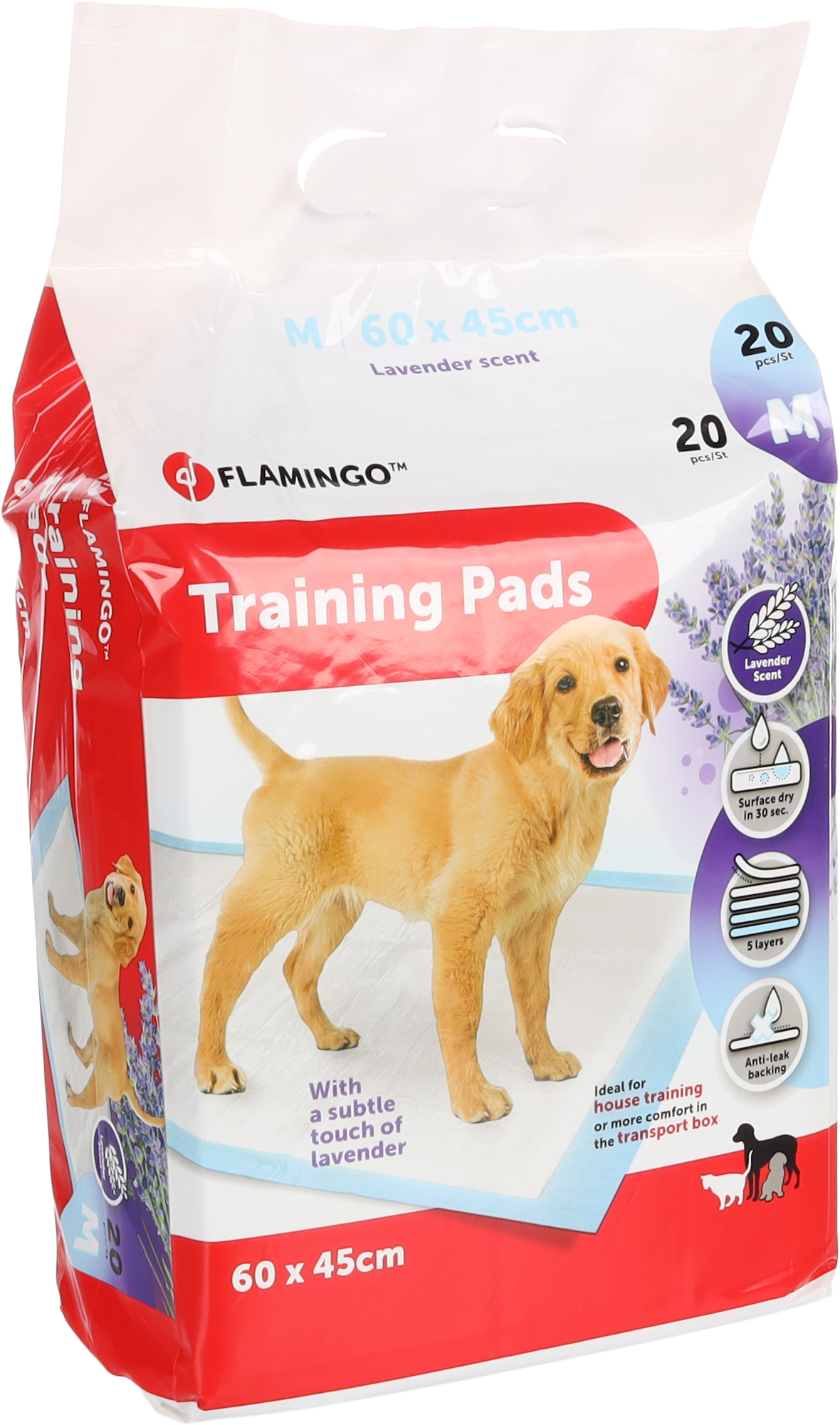 Dog training hotsell touch pad