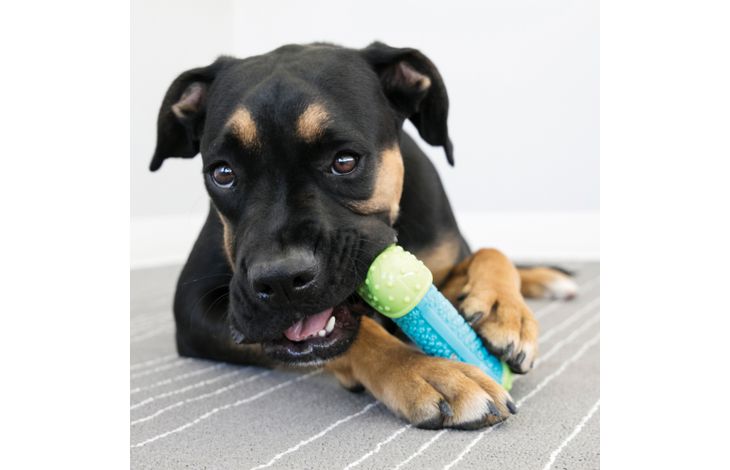 Kong® Kong® Toy Core Strength Bone Turquoise