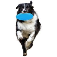 Flamingo Juguete Morrison Frisbee Varios colores