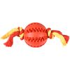 Speelgoed Waylen Bal Dental met touw Meerdere kleuren Bal Rood, Geel