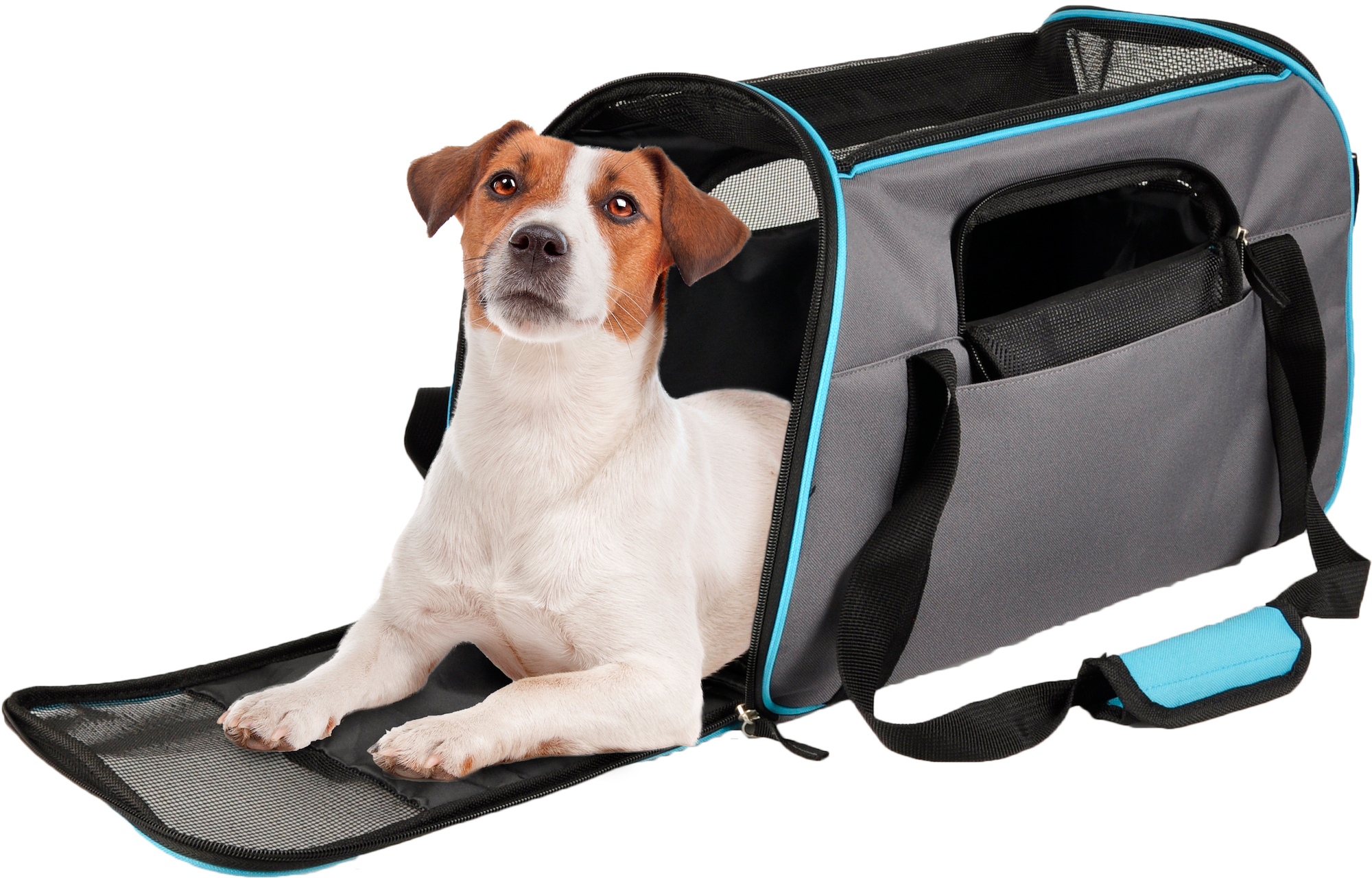 Flamingo Carrying bag Gisel Grey