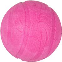 Flamingo Toy Dina Ball with raspberry flavour