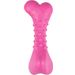 Toy Dina Bone with raspberry flavour