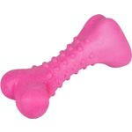 Toy Dina Bone with raspberry flavour