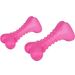 Toy Dina Bone with raspberry flavour
